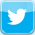 Share Twitter